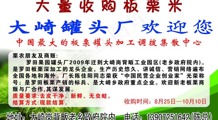 罗田大崎罐头厂收购板栗米图片