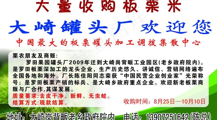 罗田大崎罐头厂收购板栗米图片psd模版下载