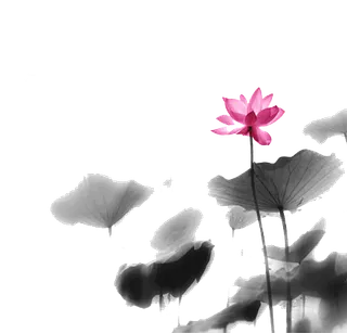 水墨荷花手绘荷花背景荷花图案免抠