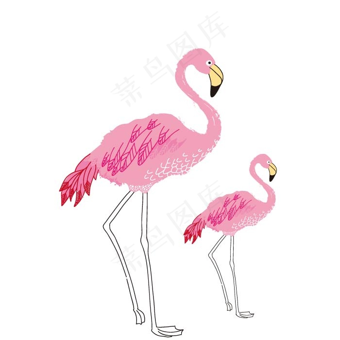 火烈鸟卡通图案插画