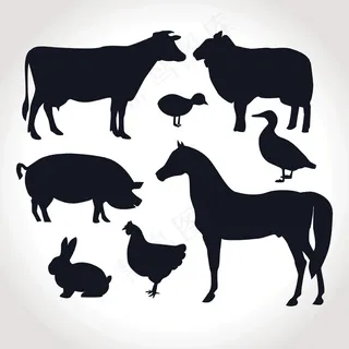 家禽动物剪影猪牛羊鸭马 家禽动物剪影猪牛羊鸭马