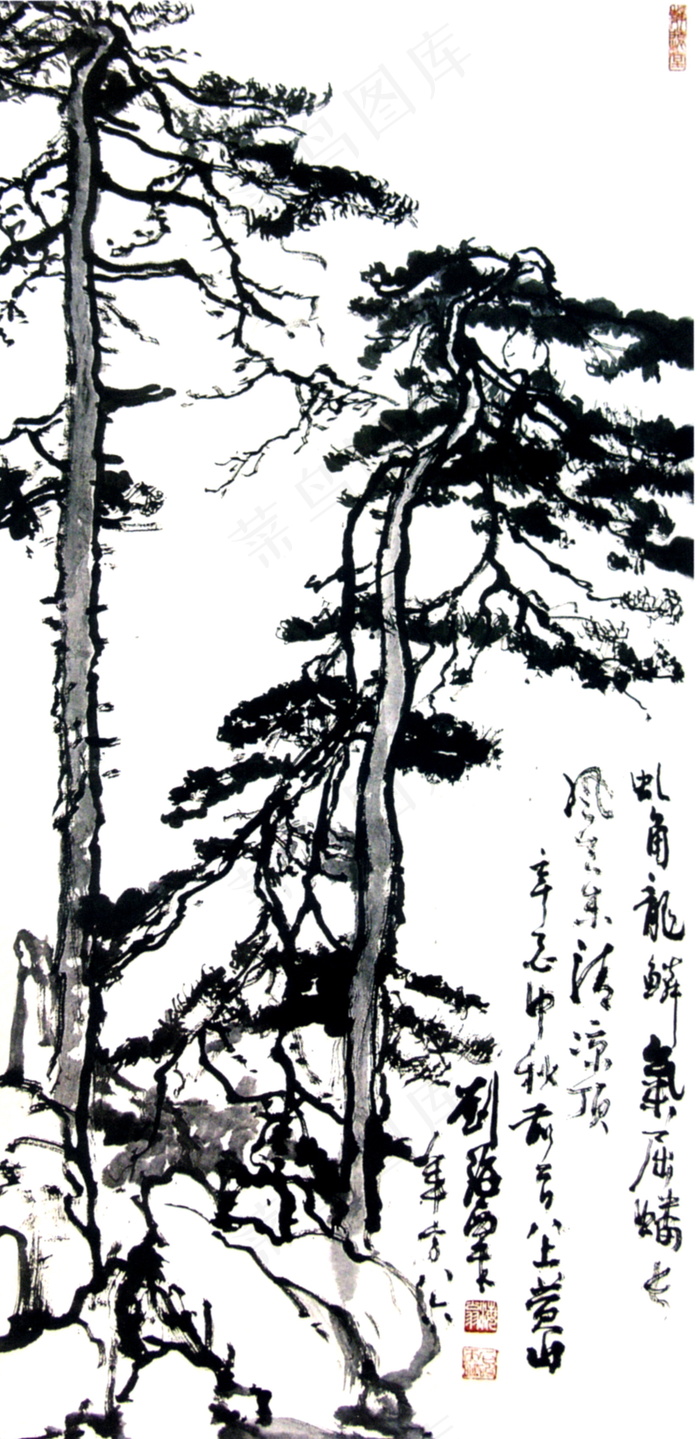 松树