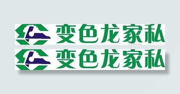 矢量变色龙家私标志