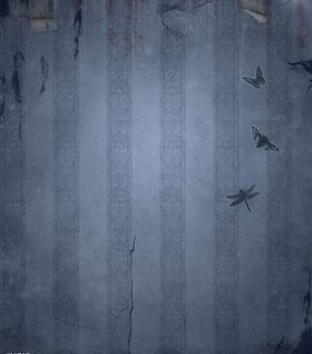 残旧欧式墙纸墙壁图片