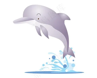 海豚图片