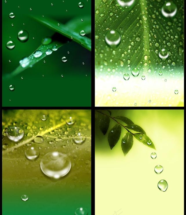 动感水珠背景图片