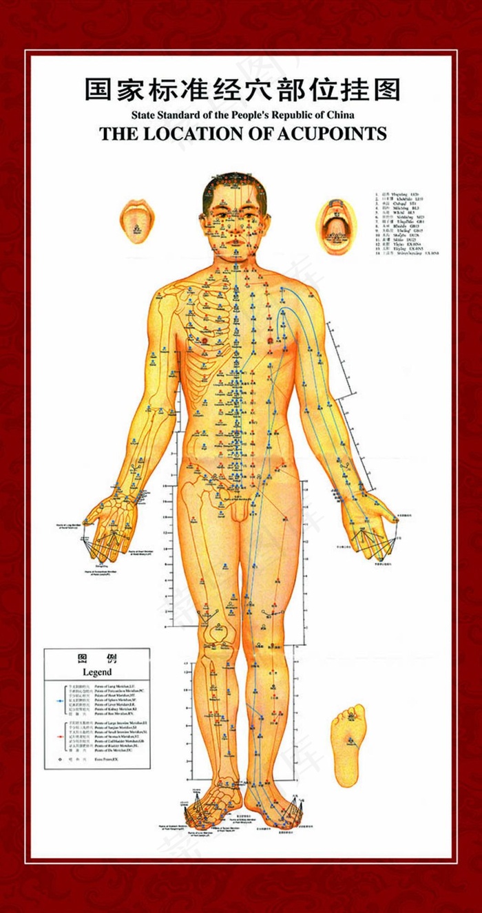 国家标准经穴部位挂图psdpsd模版下载