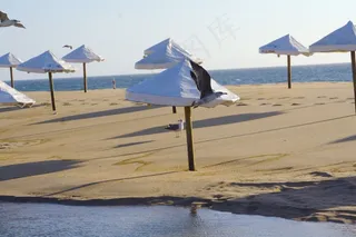 夏日海边风景图片