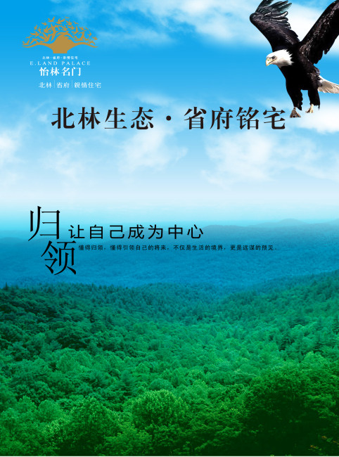 企业文化鹰psd模版下载