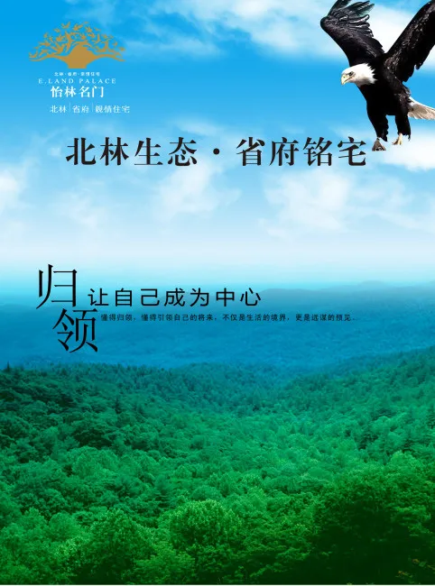 企业文化鹰psd模版下载