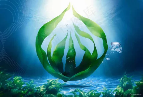 化妆品 夏季清凉海洋背景