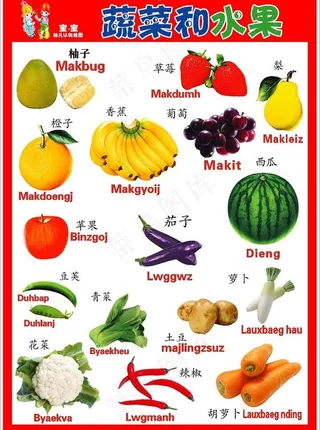 壮汉双语挂图 水果篇图片