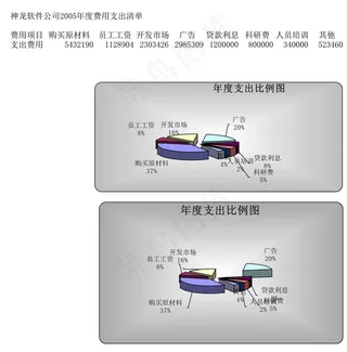 绘制年度支出比例图