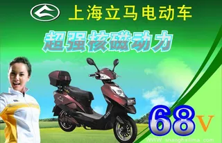 上海 立马电动车图片