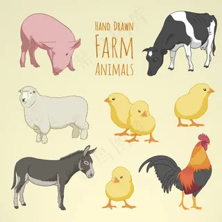 手绘农场动物图片