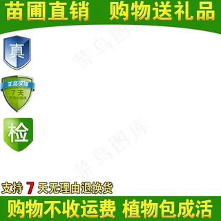 新天猫淘宝直通车主图模板促销边框1...