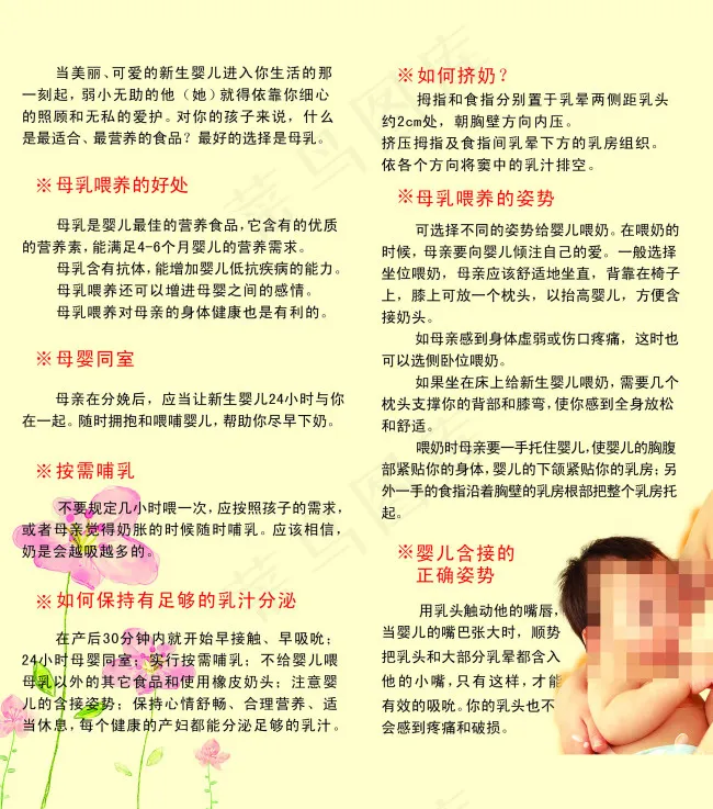 母婴两折页彩页宣传图片psd模版下载