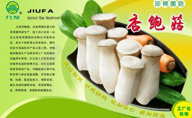 杏鲍菇图片psd模版下载