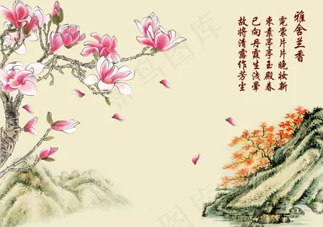 美丽的玉兰花 美丽的玉兰花