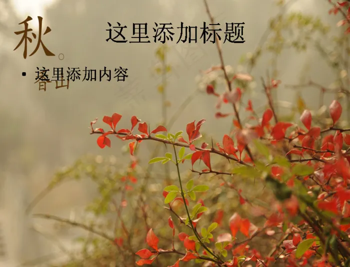 北京香山静宜园秋天风景摄影宽屏p...
