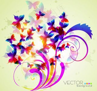 梦幻绚丽蝴蝶图片