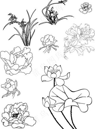 一些花矢量图图片