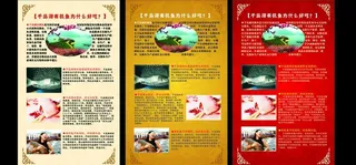 千岛湖有机鱼图片