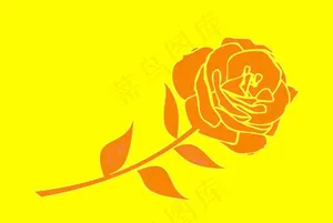 玫瑰花