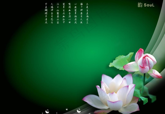 古典图片psd模版下载