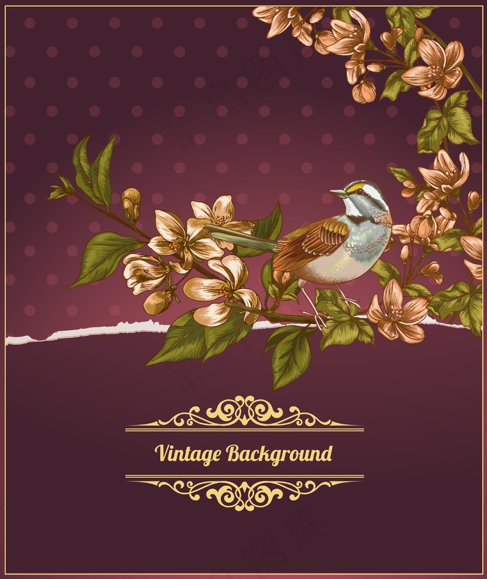 鸟的春天的花朵的老式插画矢量