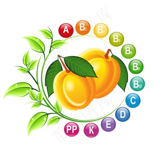 桃子里的维生素ai矢量模版下载