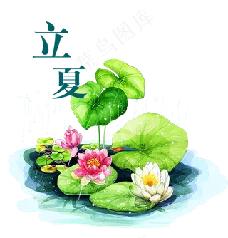 二十四节气立夏艺术字体PSD素材