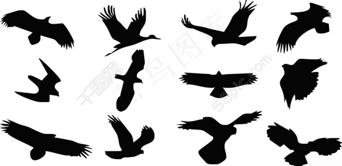 鸟剪影图片免费下载