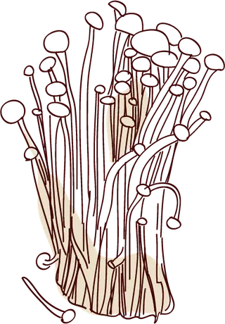 金针菇菌类食物png素材