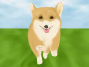 行走的狗