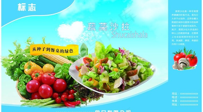 蔬菜沙拉箱图片