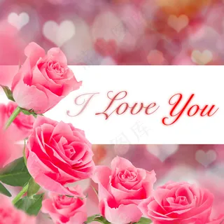 粉色玫瑰花静物设计素材