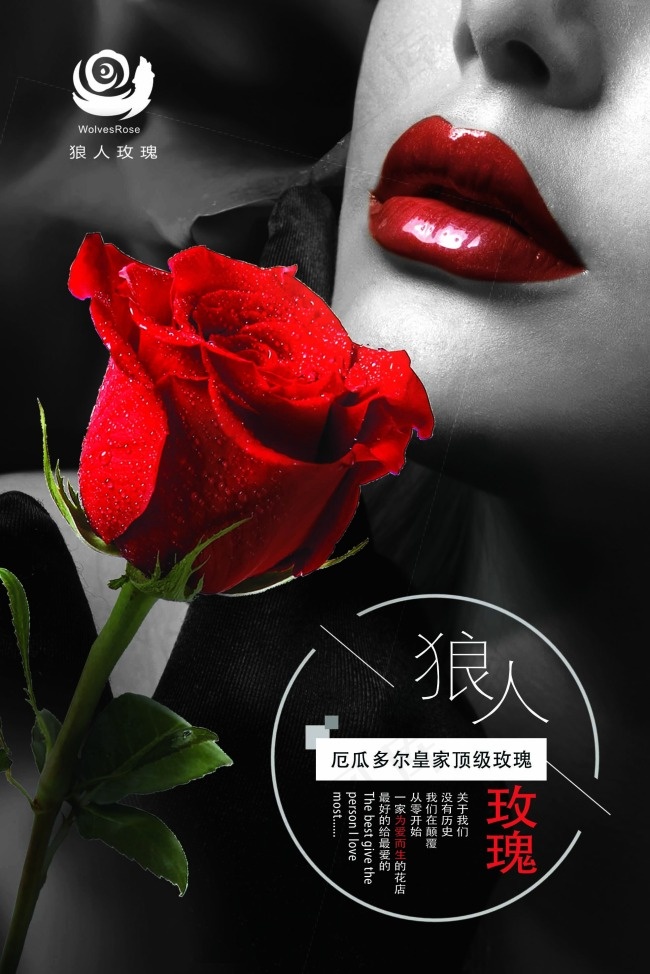 玫瑰花展板(1969X2953(DPI:100))psd模版下载