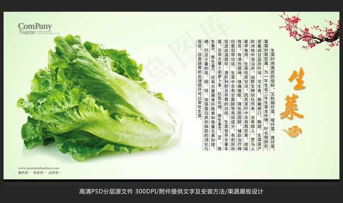 蔬菜展板设计生菜海报招贴广告设计psd模版下载