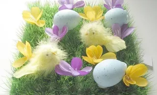 小鸡玩具和彩蛋图片