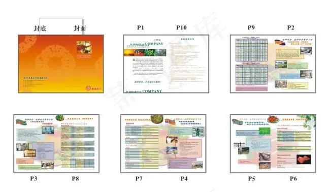 食品画册cdr矢量模版下载