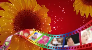 向阳花照相馆宣传图片