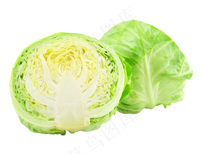 PSD免扣大白菜素材画面