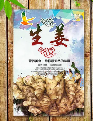 生姜海报图片