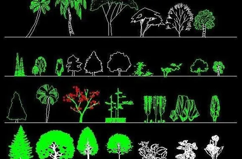 园林立面植物图例CAD
