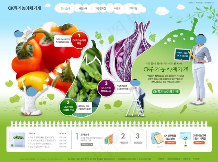 韩国绿色营养师网页PSD模板psd模版下载