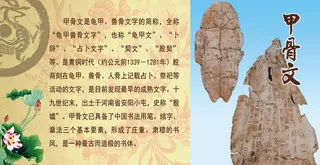 甲骨文介绍