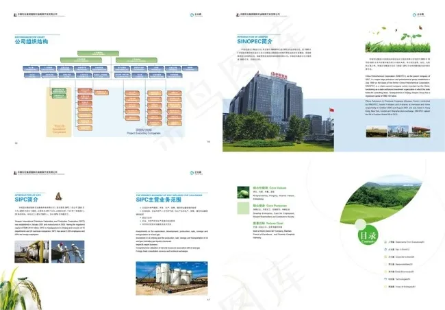 画册版式设计(1207X824)eps,ai矢量模版下载