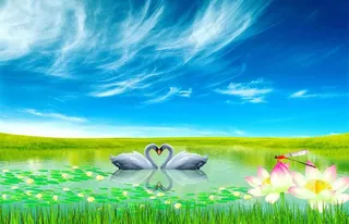 天鹅湖美景图片