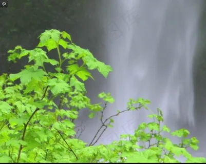 动态山水风景画视频素材下载 动态山水风景画视频素材下载